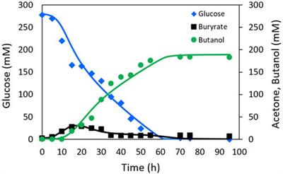 NADH-based kinetic model for acetone-butanol-ethanol production by Clostridium